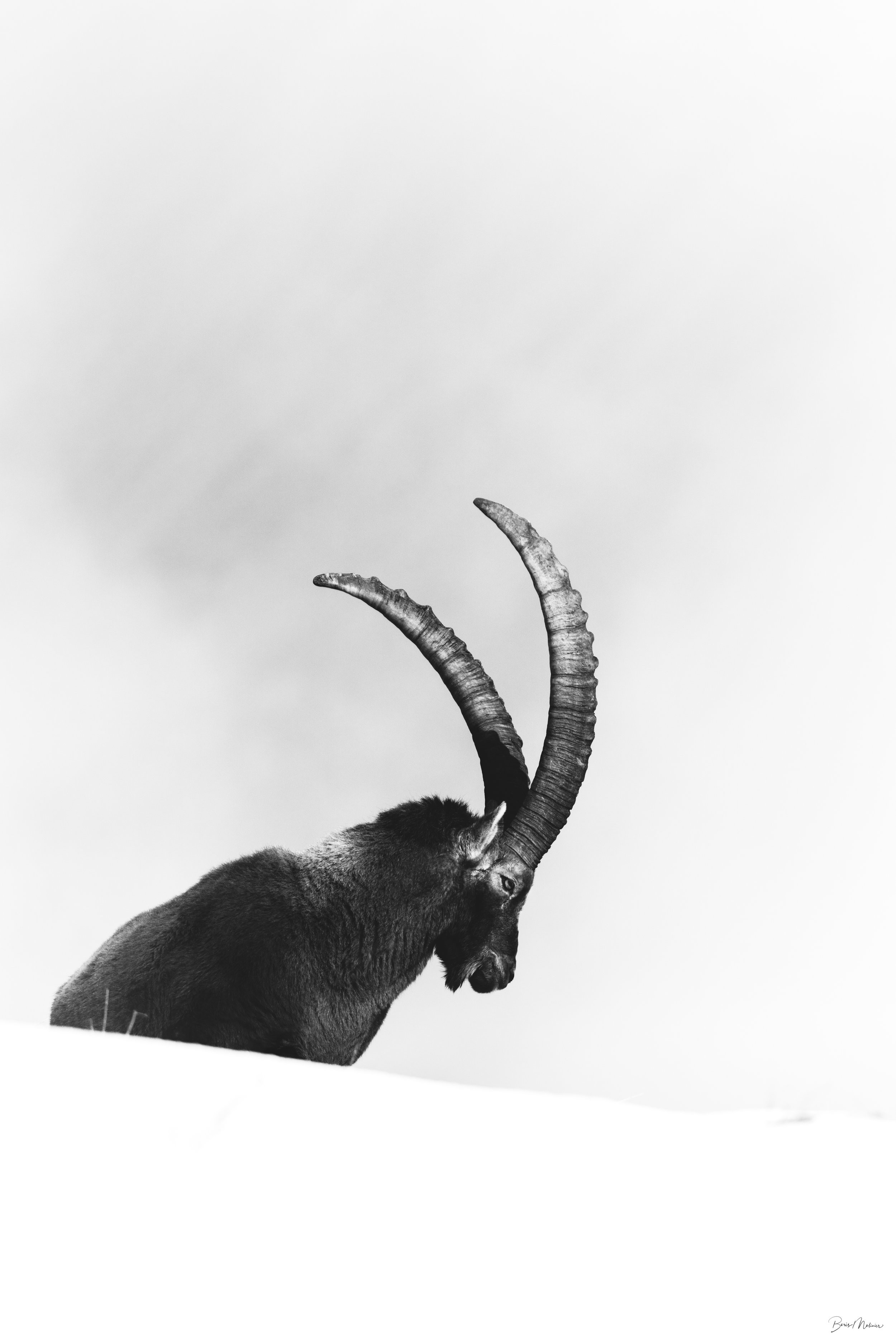 Portrait dans le village de Megève