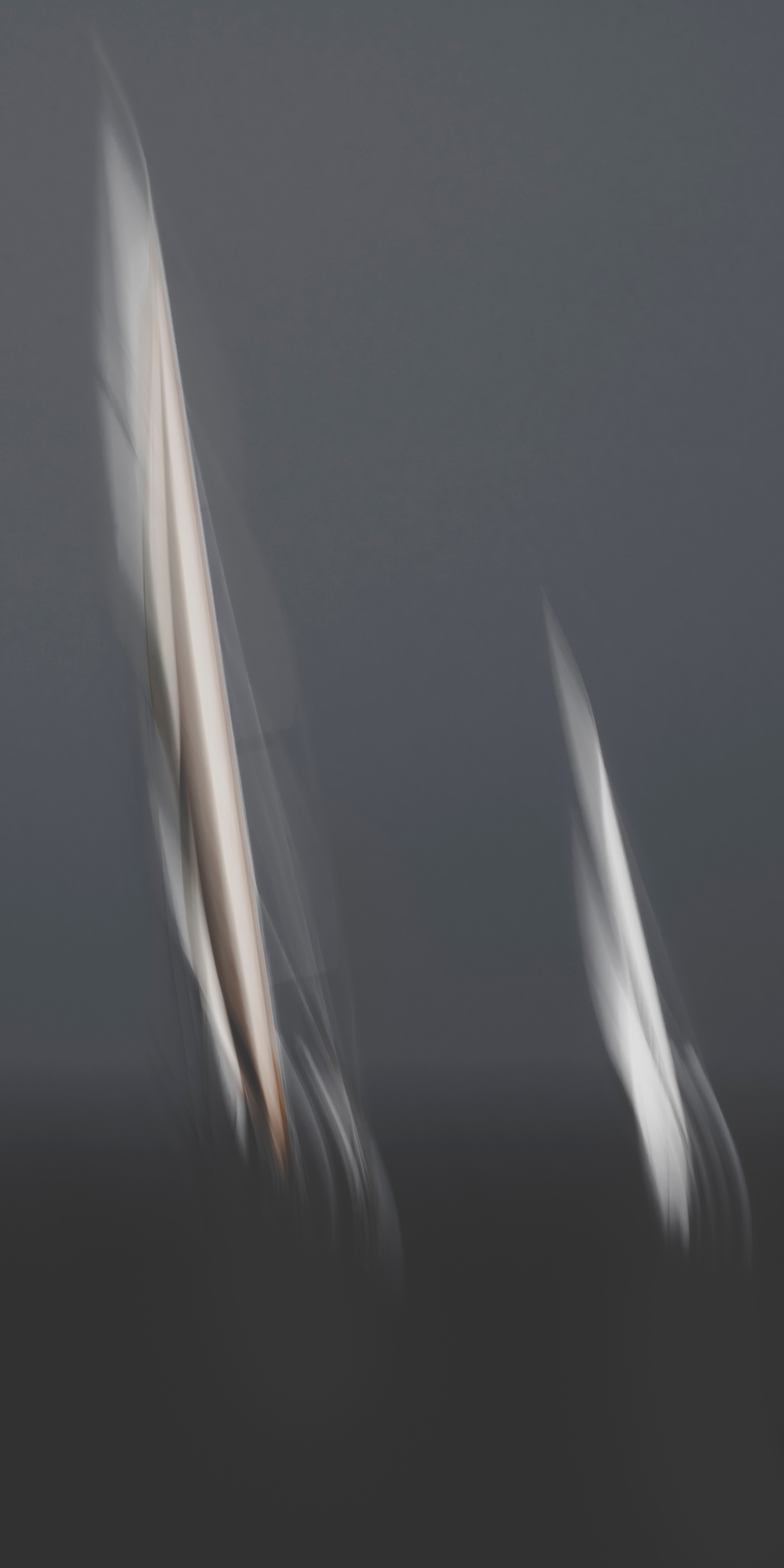 Duel — Photographie d'art par Boris Molinier