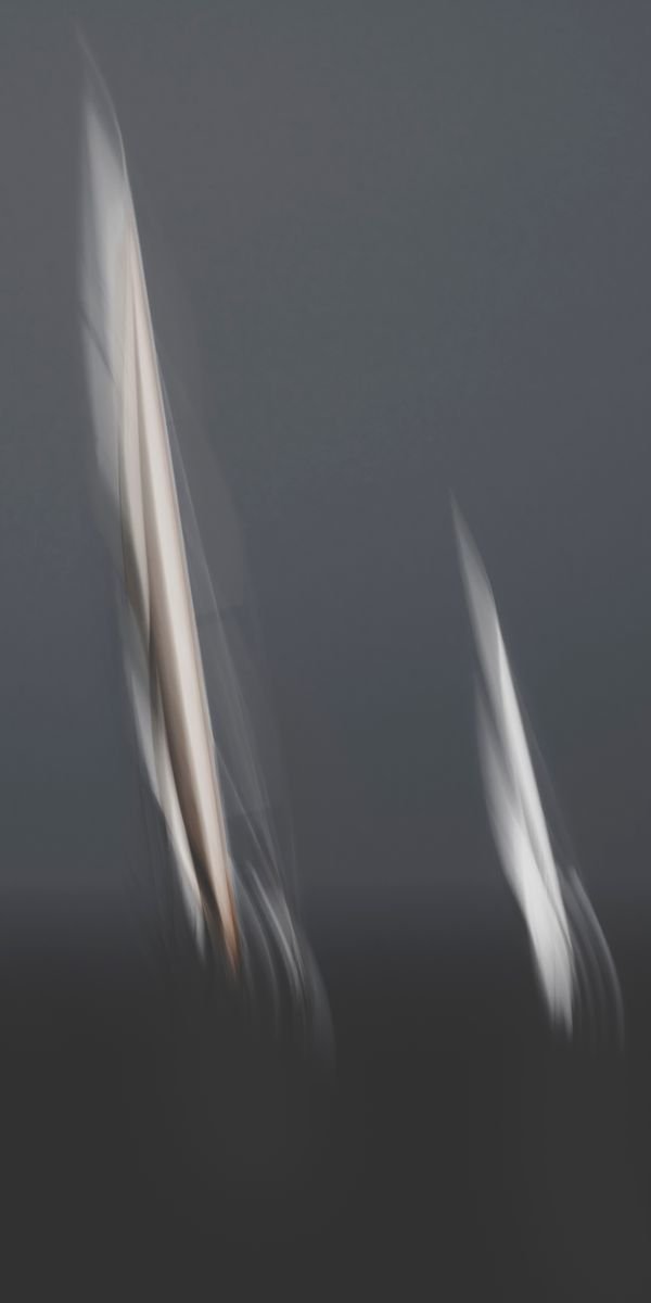 Duel — Photographie d'art par Boris Molinier