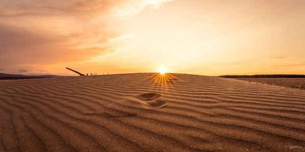 Empreinte de vie — Photographie d'art par Boris Molinier