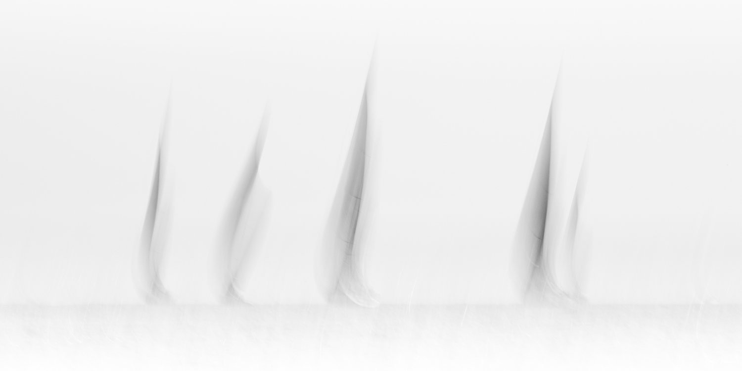 Ghost — Photographie d'art par Boris Molinier