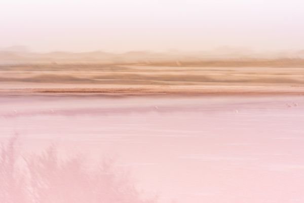 Les Rois de la Lagune — Photographie d'art par Boris Molinier