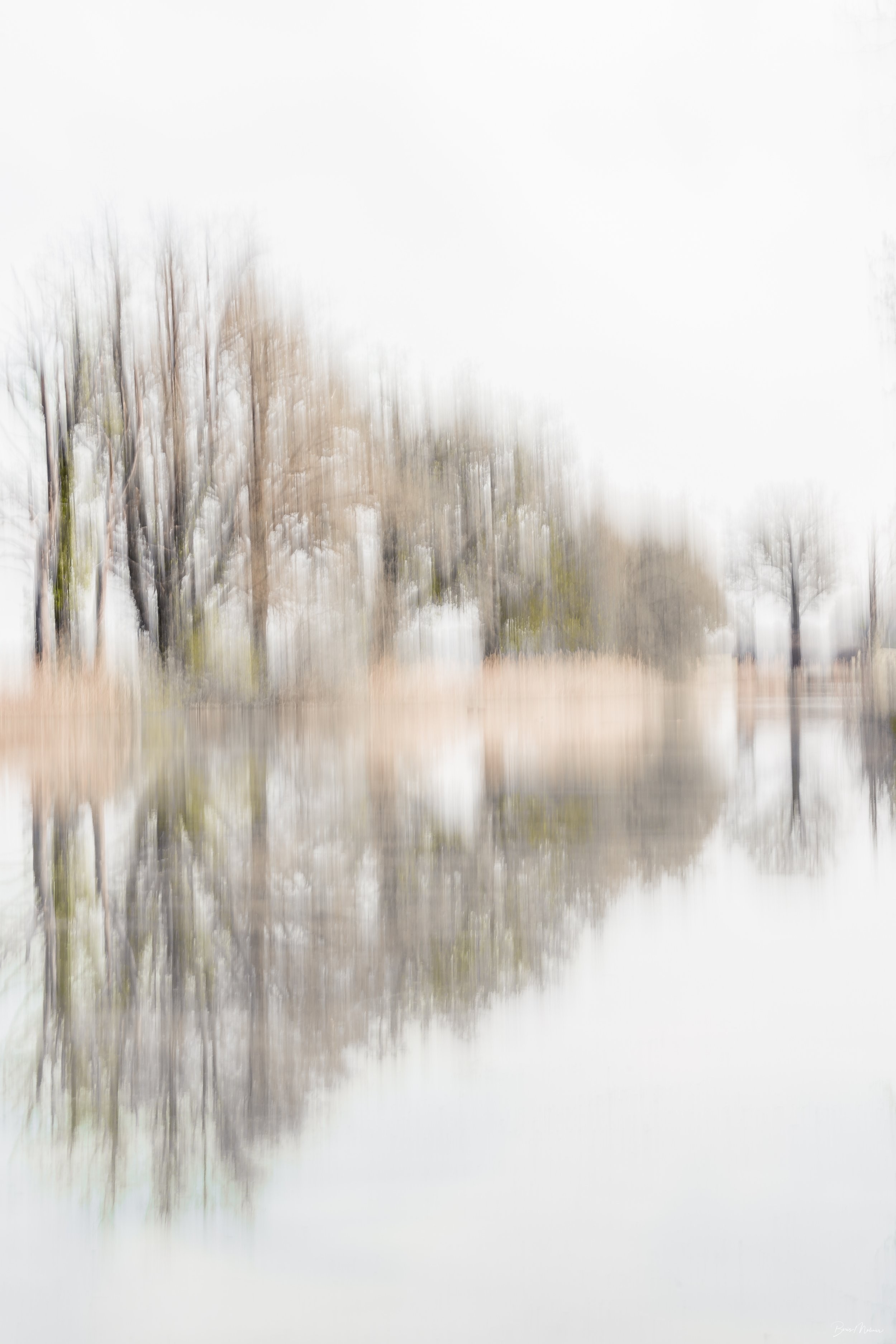 Miroir de la nature — Photographie d'art par Boris Molinier