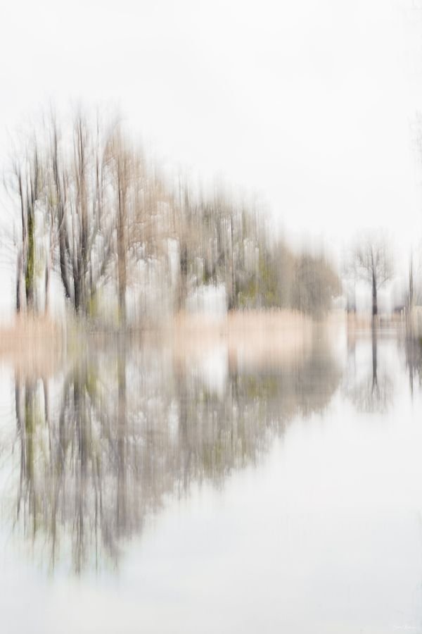 Miroir de la nature — Photographie d'art par Boris Molinier