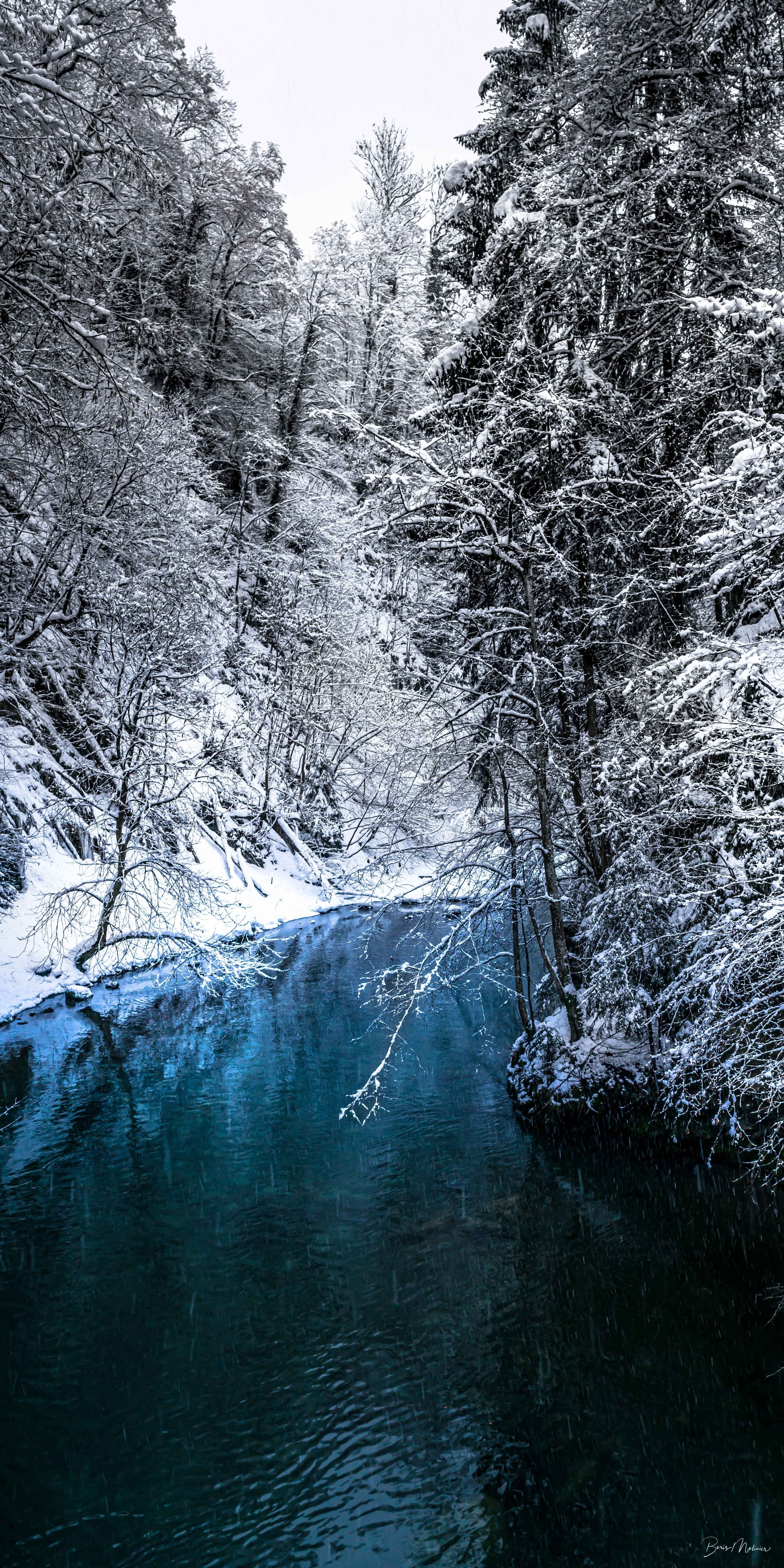 Nostalgie Hivernale — Photographie d'art par Boris Molinier