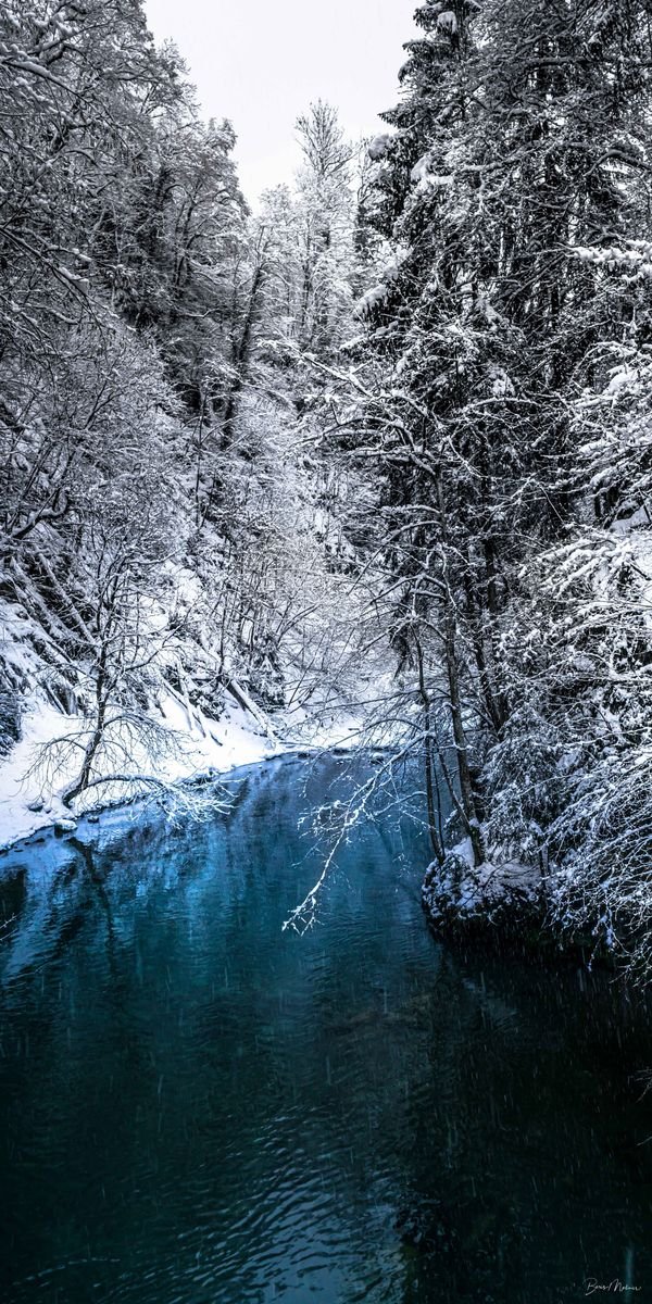 Nostalgie Hivernale — Photographie d'art par Boris Molinier