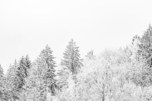 Silence hivernal — Photographie d'art par Boris Molinier